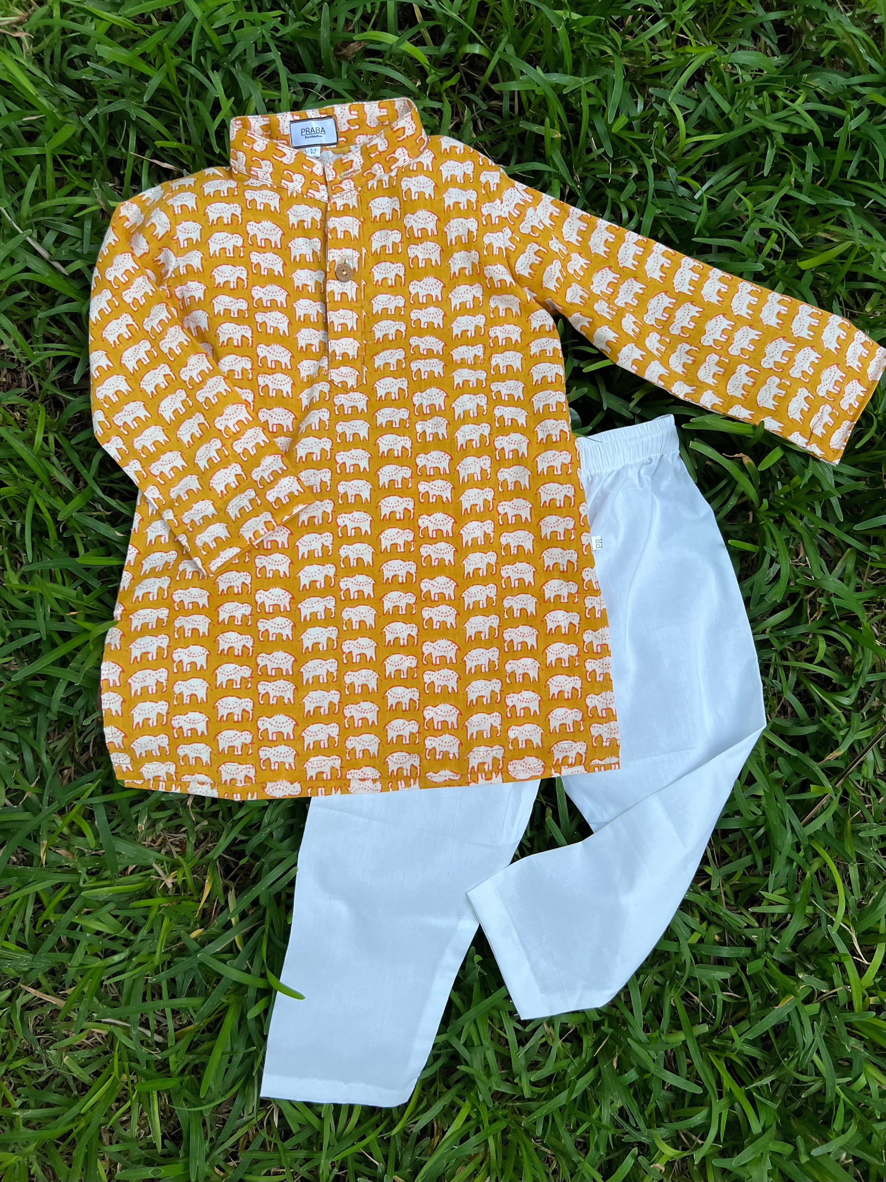 Elephant print kurta pyjama set