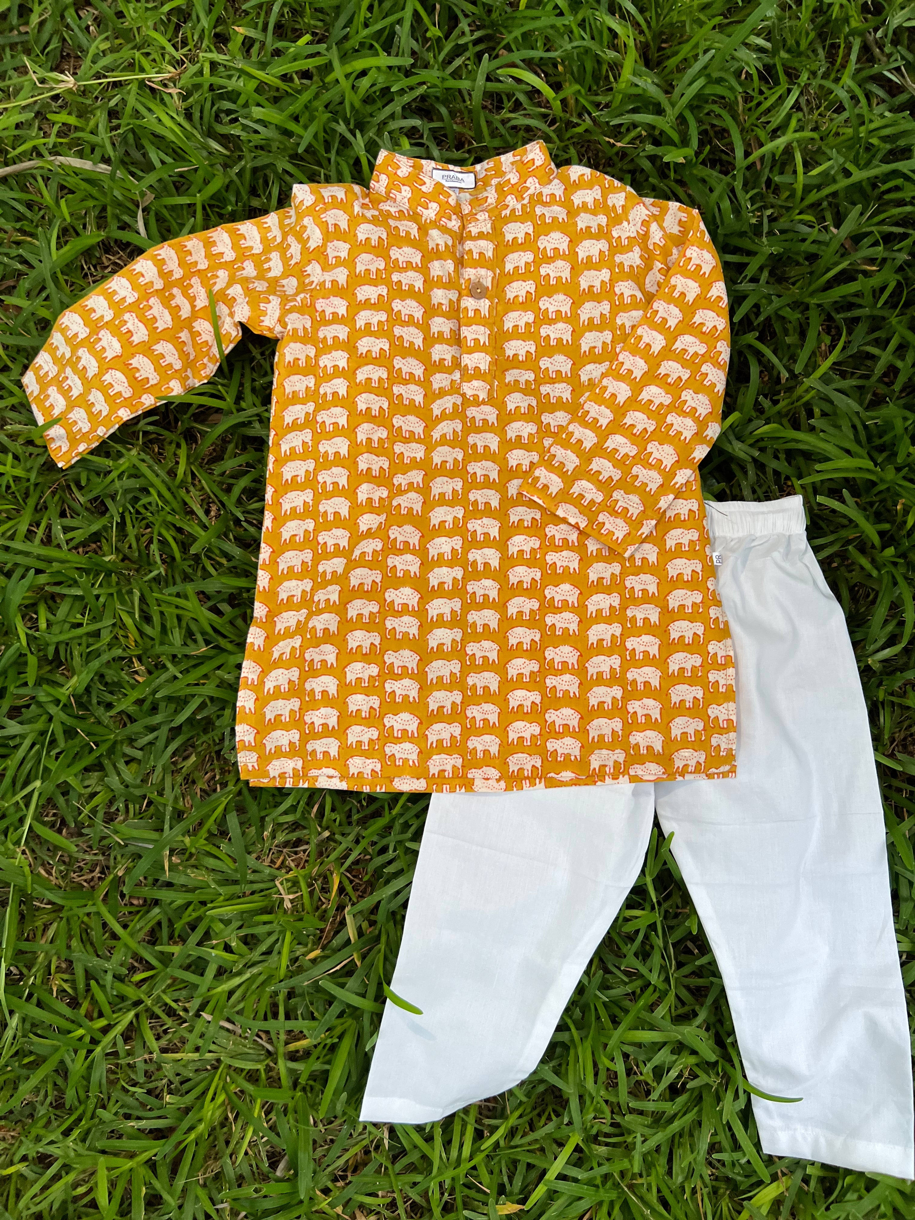 Elephant print kurta pyjama set