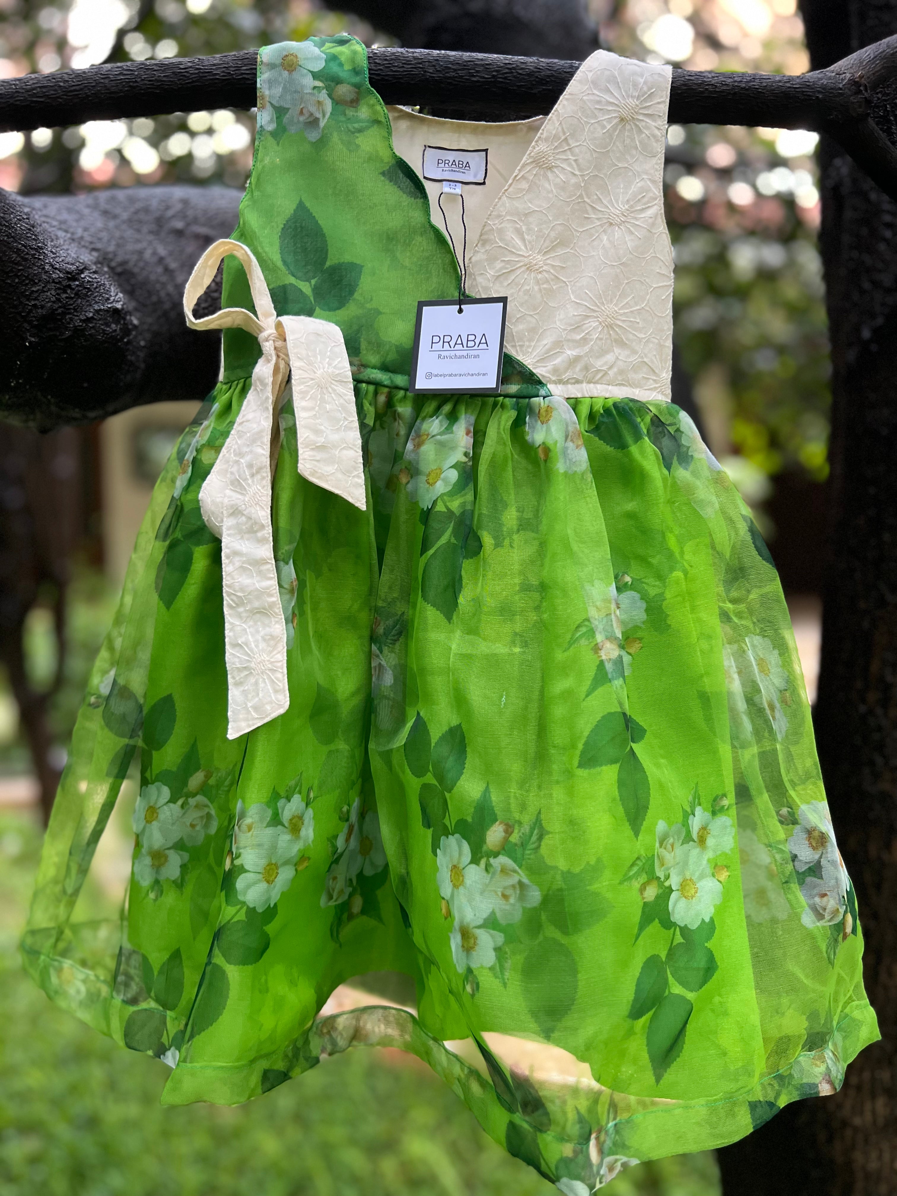 White and green floral Organza frock