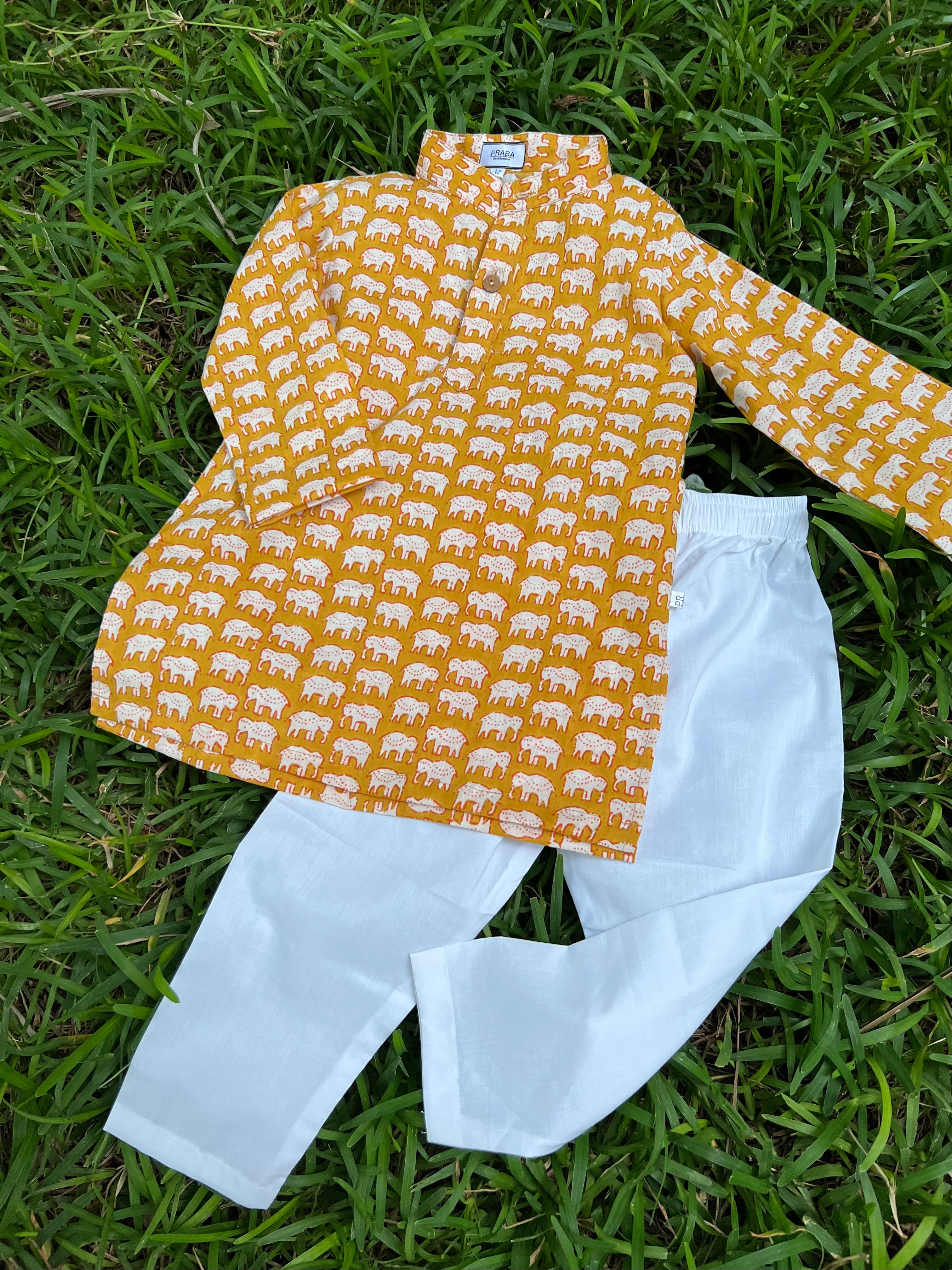 Elephant print kurta pyjama set