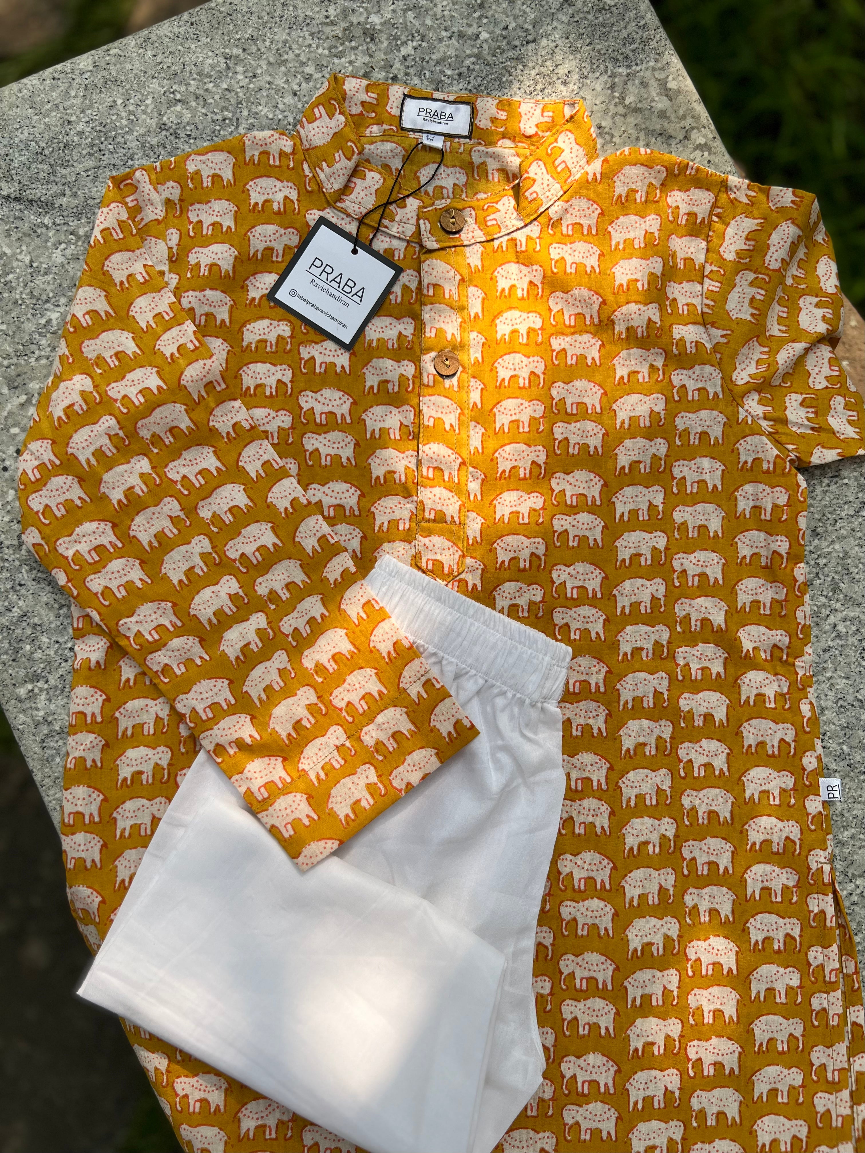 Elephant print kurta pyjama set