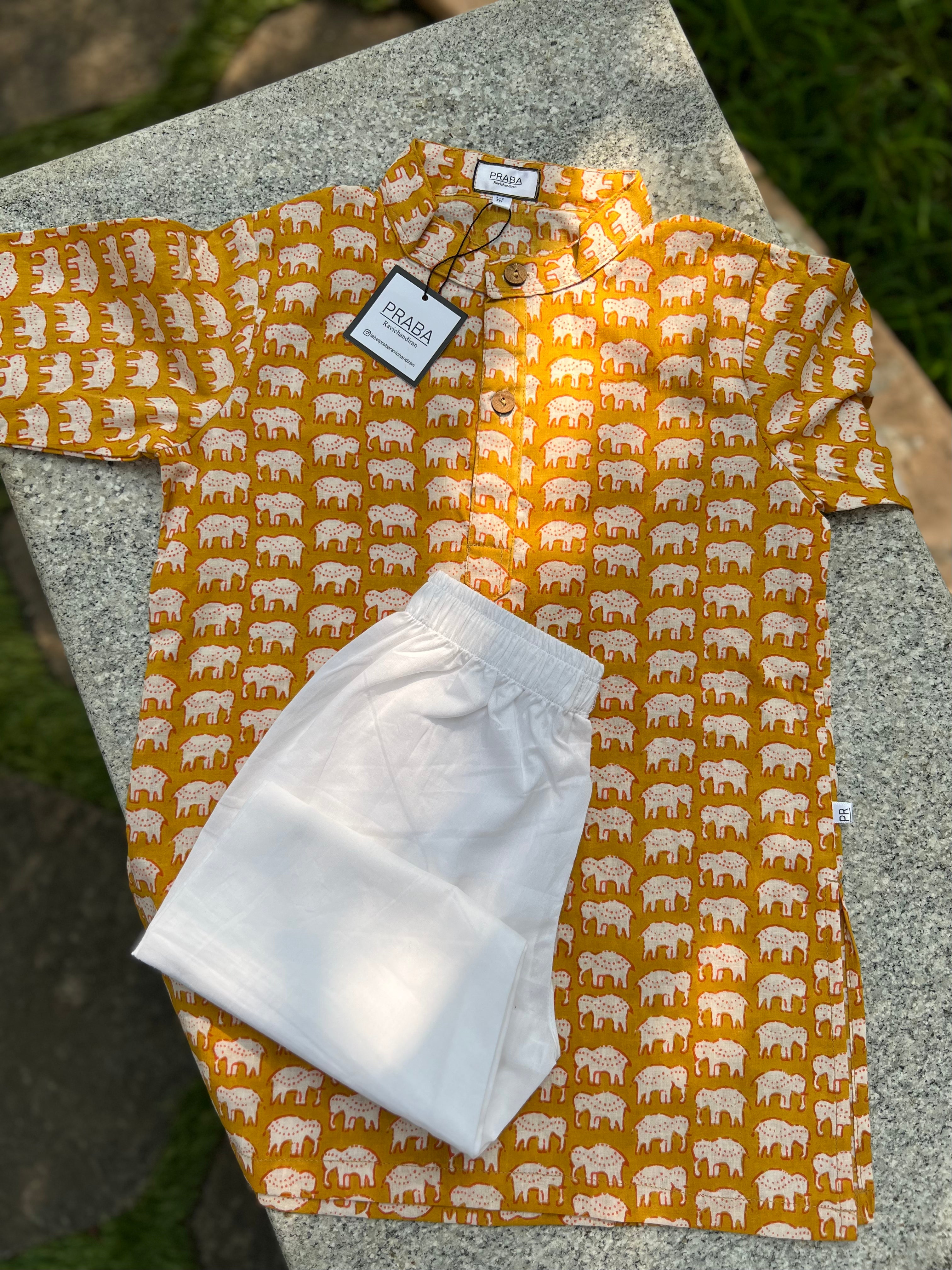 Elephant print kurta pyjama set