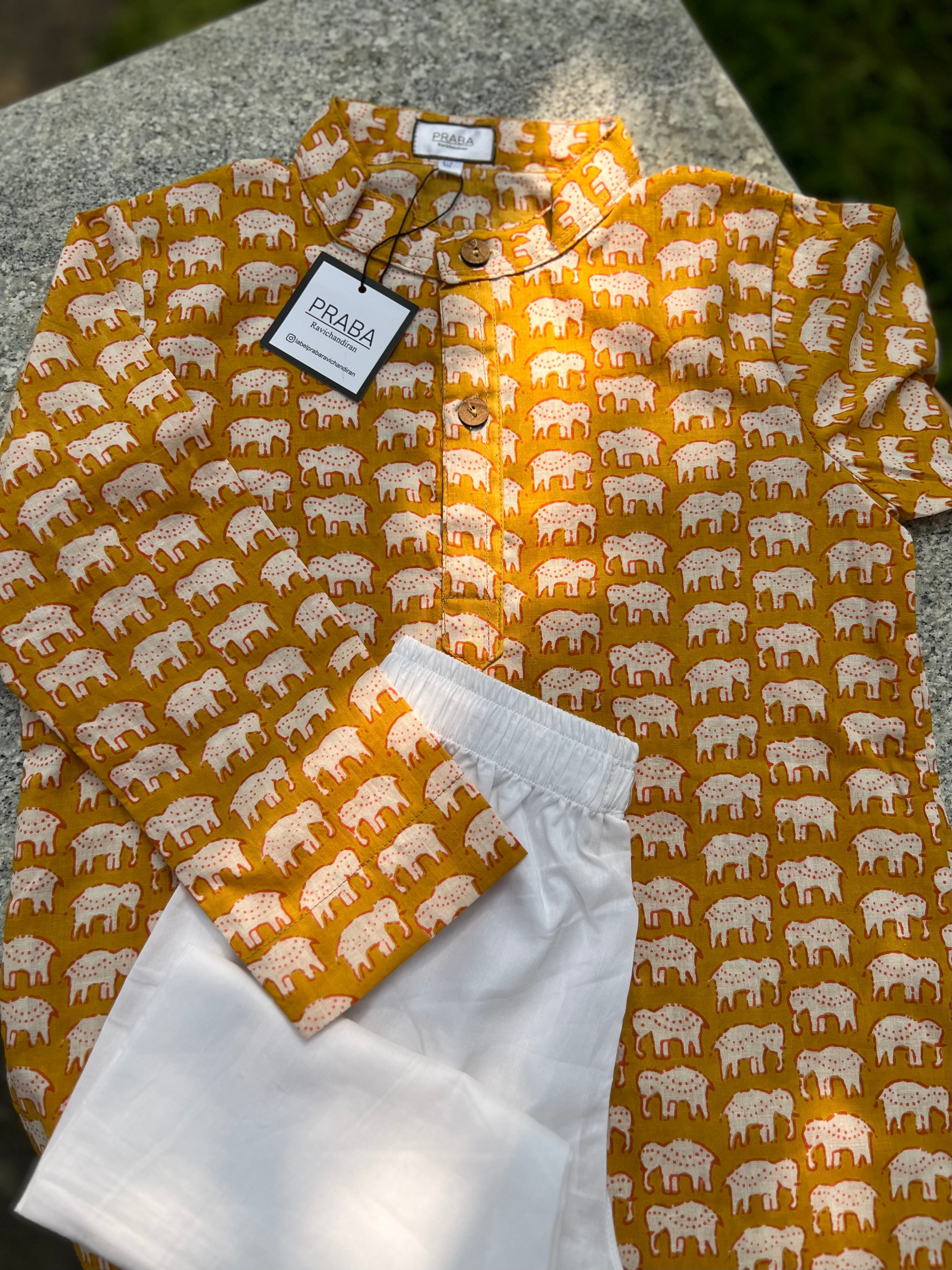 Elephant print kurta pyjama set