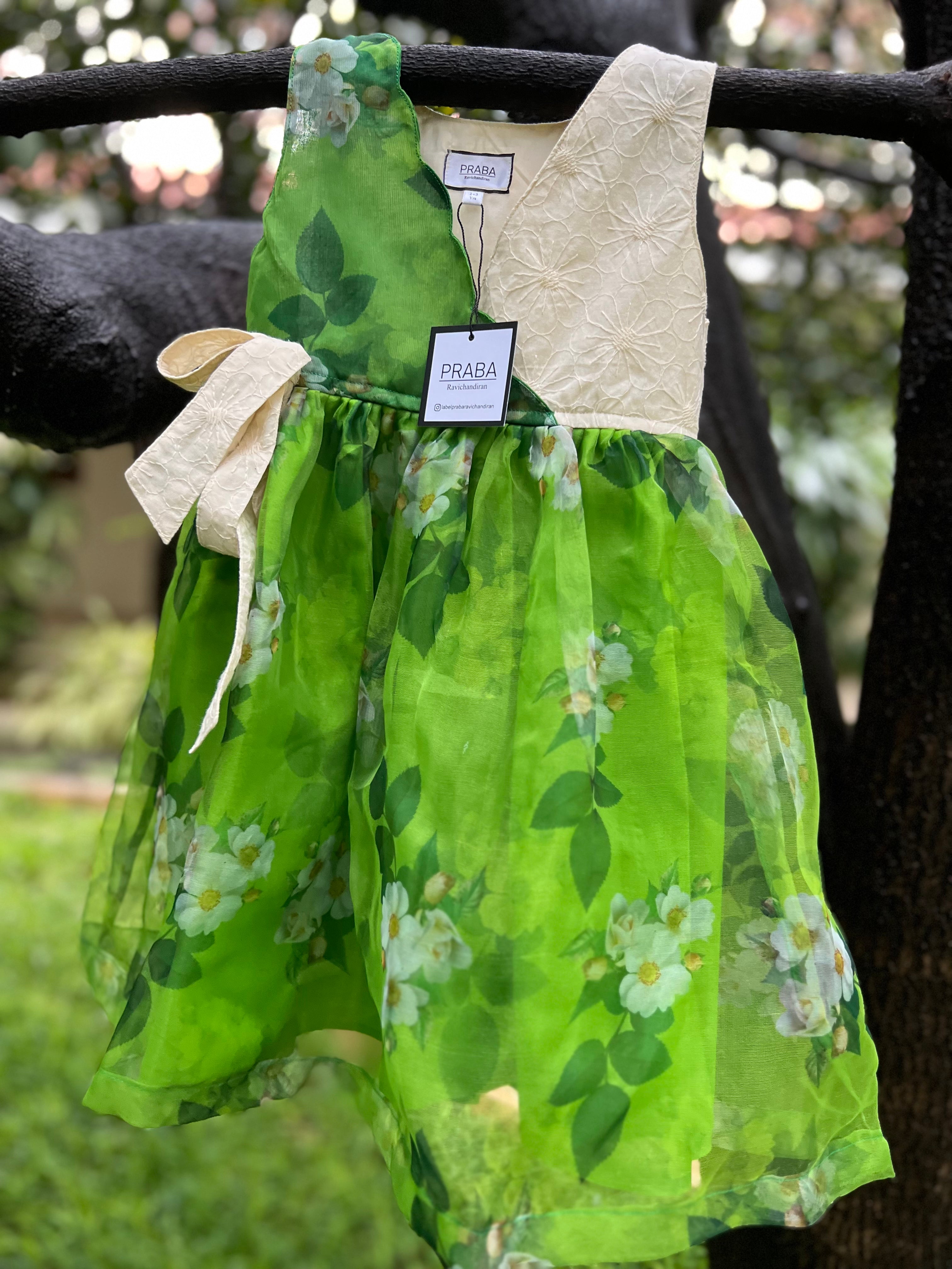 White and green floral Organza frock